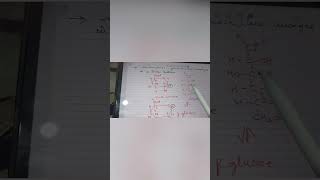 Difference between alpha Dglucose vs beta Dglucose easy explanation neet biochemistry mcatyt [upl. by Dosia]