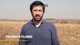 Prescripciones con FieldView [upl. by Cyb]