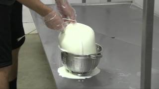 Yogurt Makingmp4 [upl. by Gregory]