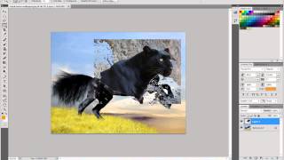 PhotoShop CS5 How to Morph two Animals together Part 1 [upl. by Modnar904]