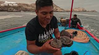 Pescadores hacen Esto Para EXTRAER PULPOS Gigantes y Cocinan el SUDADO mas fresco del mundo [upl. by Esinrahc]