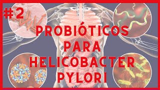 PROBIÓTICOS para HELICOBACTER PYLORI  Probióticos para 2 [upl. by Esorbma]