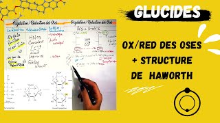 📣3 LES GLUCIDES PARTIE01 👌Oxydation et Reduction Des OsesStructure Cyclique De Haworth BIOLOGY [upl. by Radmilla975]