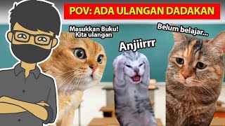 kucing joget [upl. by Barry]