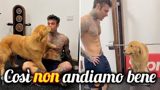 Fedez e l’incontenibile Silvio anche in palestra 😂 [upl. by Alekat]