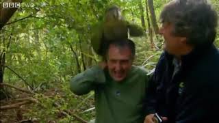 Camera Man Shagged by Strangest Kakapo Parrot  A Rare Endangered Specie of New Zealand [upl. by Downes320]