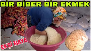 BİR FIRIN BİBER İÇİN BİR FIRIN EKŞİ MAYALI KÖY EKMEĞİ YAPTIKBAHARAT YAPIMINA HAZIRLIK [upl. by Adia583]