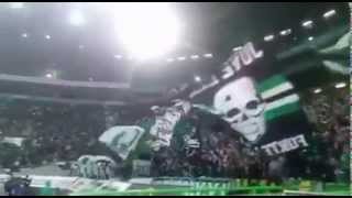 sporting vs benfica ambiente final 21112015 [upl. by Low]