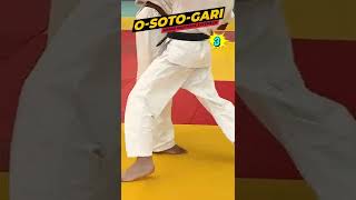 O Soto Gari  3 placements pour se perfectionner [upl. by Peisch]