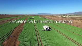 Secretos de la huerta murciana [upl. by Ylagam]