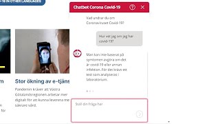 Så snabba var VGR med sin coronachattbot Digitaliseringsledare Hans van den Brink förklarar [upl. by Admana]