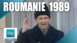 24 décembre 1989  La chute et la fuite de Nicolae Ceaușescu  Archive INA [upl. by Ahsiuq373]