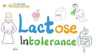 Lactose Intolerance Lactase Deficiency [upl. by Douglass368]