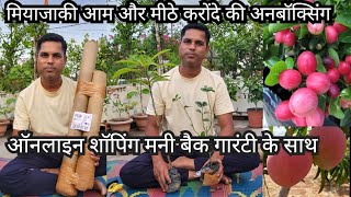 Online Plant Unboxing Miyazaki Aam aur Karonda Grafted Fruit Plants onlinenursary [upl. by Ynoble]