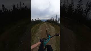 POV Hafjell bikepark📍 fypシ゚viral mtb goingdownhill viralvideo goproactioncamera downhill [upl. by Winograd]