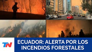 ECUADOR Quito enfrenta una situación “crítica” a causa de cinco incendios forestales simultáneos [upl. by Rothschild]