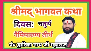 श्रीमद् भागवत कथा  Shrimad Bhagwat Katha naimisharanya [upl. by Yknarf]