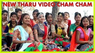 NEW THARU SONG CHAM CHAM BOLEY SHOOTING REPORT [upl. by Weisbart]