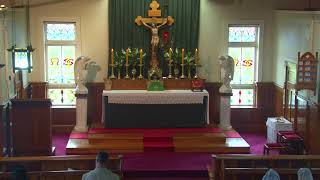 SSPXNZLIVE  Fifth Sunday after Pentecost  23rd June  Sung Mass [upl. by Aryn]