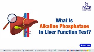 Alkaline Phosphatase  What is Alkaline Phosphatase in Liver Function Test  liverfunctiontest [upl. by Aikehs500]