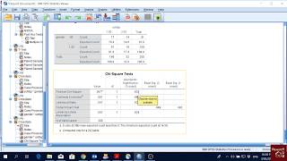 SPSS 10 ChiSquare Test [upl. by Tyler]