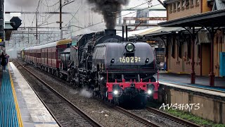 6029 Garratt Steam Locomotive leads HUGE consist with 4501 4201 amp 4916 Enroute to Bathurst NSW [upl. by Etienne]