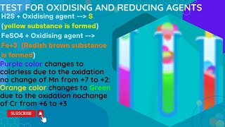 Online Demonstration of Tests for Oxidizing and Reducing Agents [upl. by Roque49]