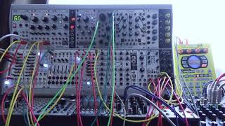 Doepfer A1182  Mutable Instruments Rings  mannequins Mangrove  Roland SP404SX [upl. by Alice]