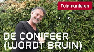 De conifeer wordt bruin  Tuinieren  Tuinmanieren [upl. by Naelcm]