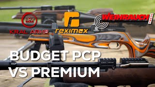 Budget PCP Rifles vs Premium Should I budget for a higher price [upl. by Casilde]