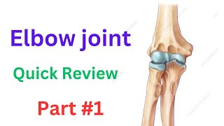 Elbow joint Anatomy  Muscles  ligaments Bones Motions Part1 [upl. by Elram]