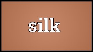 Silk Meaning [upl. by Georgi]