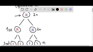 Why do you think that organisms do not use the first steps of meiosis up to and including meiotic … [upl. by Nhor]