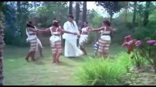 Vinnil Ninnum Vannirangum  Enthino Pookkunna pookkal  Malayalam Film Song HD [upl. by Arnulfo444]