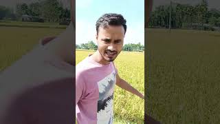 Girl friend ok dangaiche🤣🤣 trendingshorts comedyfilms funny comedymovies comedyproject [upl. by Semele]