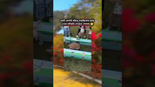 😁এটা থেকে কি বুঝলেন সবাই shortfeed shorts remix song music hindisong bollywood motivation [upl. by Rego]