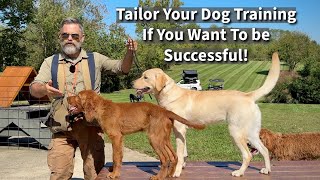 How We Tailor Our Dog amp Puppy Training To Help Dogs Realize Their Full Potential  Seven Examples [upl. by Nneb611]