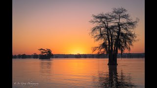 Caddo Lake TX 2024 [upl. by Nilloc808]