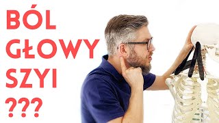 ‼️NAJWAŻNIEJSZE MIĘŚNIE i punkty spustowe na ból szyi i ból głowy‼️ Dr n med Marcin Wytrążek [upl. by Scurlock]