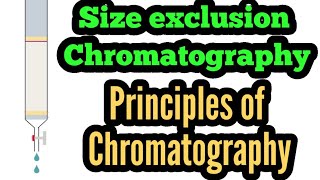 Part6 Principles of chromatography  Affinity chromatography  Chromatography [upl. by Sibell157]