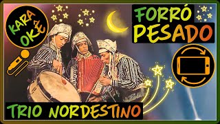 🎤 Forró pesado  Trio Nordestino  Karaokê tv [upl. by Labinnah]