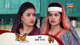 TITLI ଉଡ଼ିବାର ସ୍ୱପ୍ନ ନେଇ  Episodic Promo135  2nd Nov 2023 730 pm  Tarang TV  Tarang Plus [upl. by Zosima]