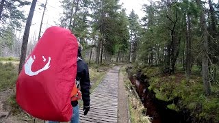 Wandern im Harz Harzer Hexenstieg  Von Osterode nach Thale [upl. by Yellhsa314]