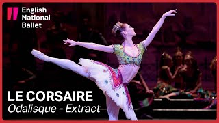 Le Corsaire Odalisque with Alison McWhinney extract  English National Ballet [upl. by Ajad]