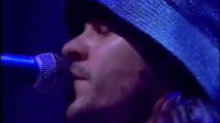 Powderfinger  The Metre live [upl. by Bollay950]