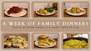 WEEK 39 FAMILY DINNERS OF THE WEEK  family of seven evening meal ideas meal plan🍝🥙 [upl. by Lesko]