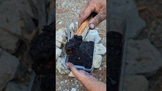 Waterproof Fire Starter From Coal and Wood Shavings survival lifehacks skills [upl. by Mccully492]