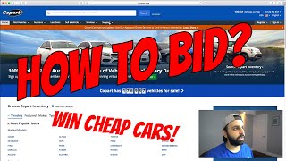 How to Bid on Cars at Copart  What Broker I Use [upl. by Field]