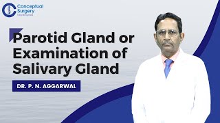 Parotid Gland or Examination of Salivary Gland by Dr P N Aggarwal [upl. by Nadual]