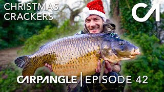 CRAZY WINTER CARP FISHING  CARP ANGLE 42 [upl. by Levona]